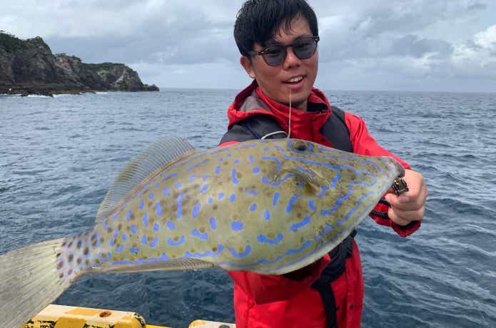 堤防 釣れる 毒魚