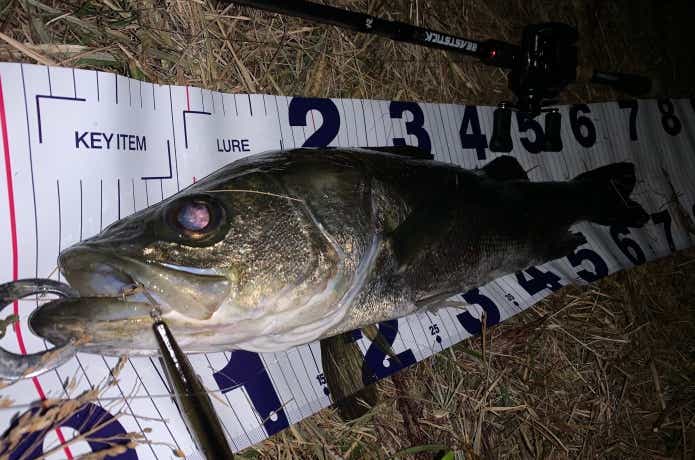 逆説の釣果UP思考術_センメイ