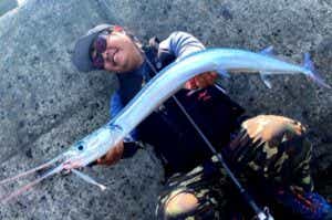ダツ　オキザヨリ　釣り