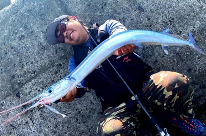 ダツ　オキザヨリ　釣り