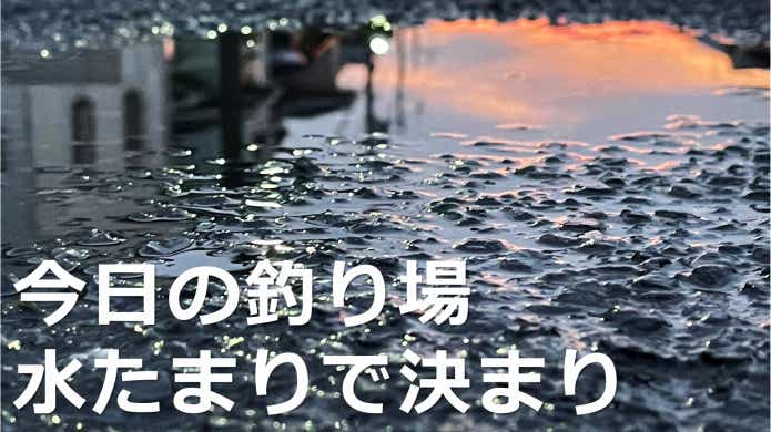 水溜り_センメイ