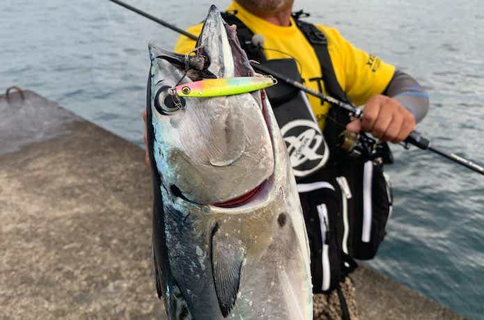 キャスティングニトロでの釣果