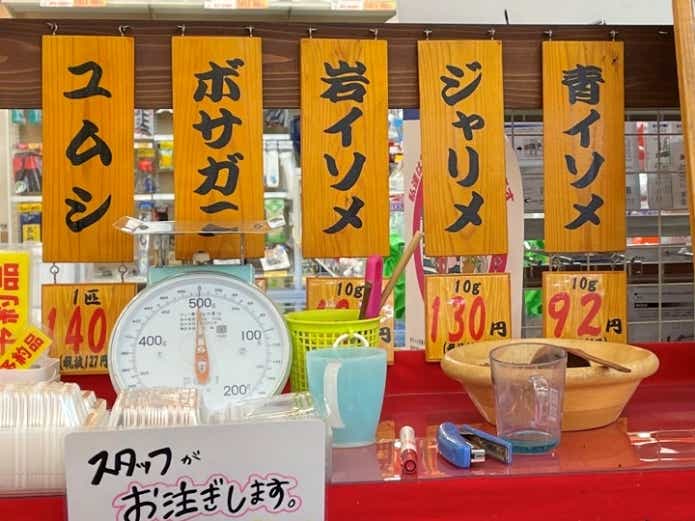 イソメ 種類