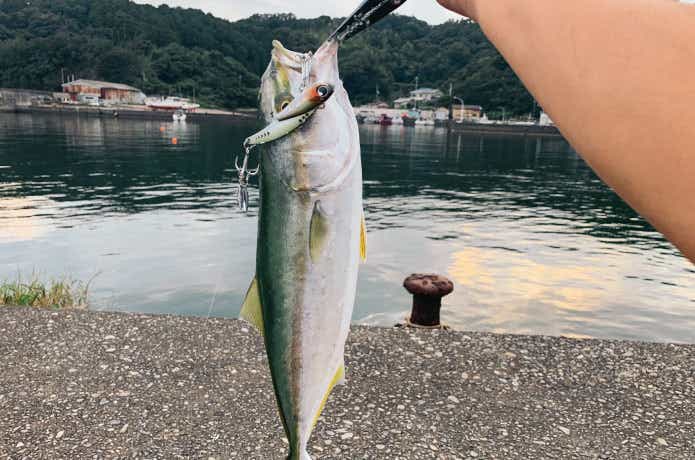 はまち