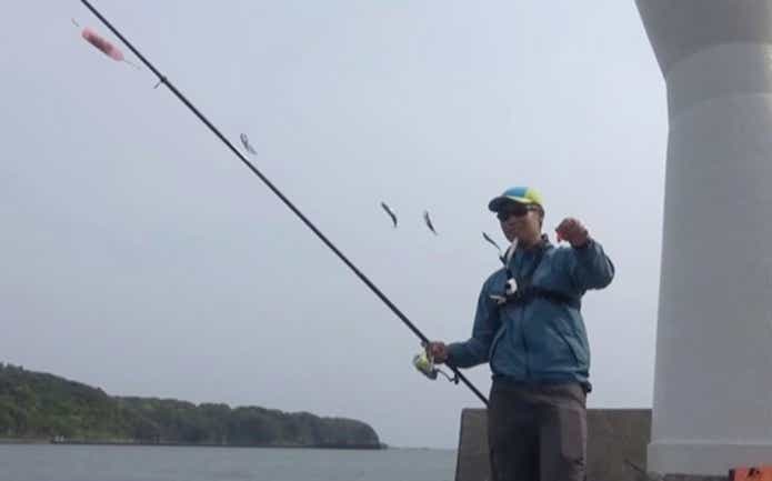 サビキ釣り　アミエビ