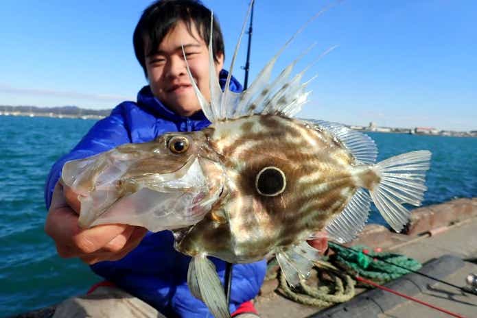 マトウダイ ジョンドリー 面白い名前の魚