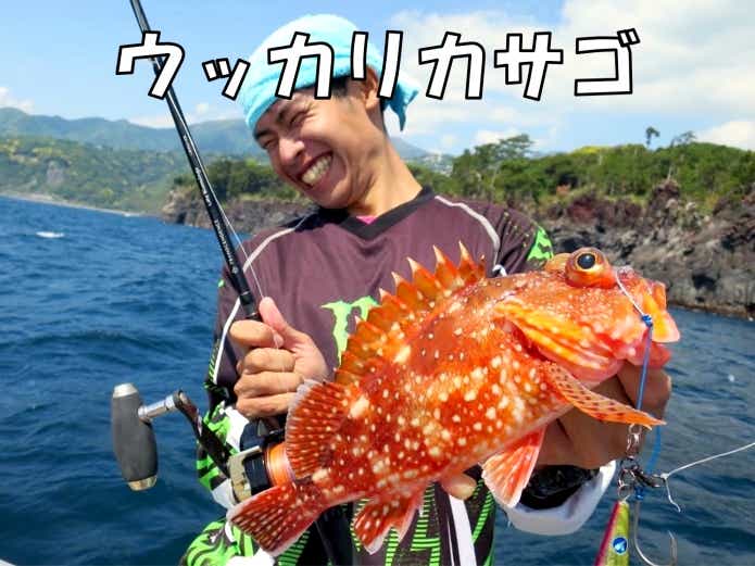 面白い名前の魚 ウッカリカサゴ