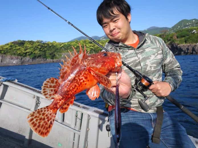 スコーピオンフィッシュ 面白い名前の魚