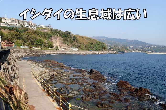 サンバソウ 生息域