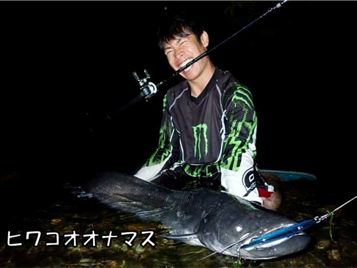 ビワコオオナマズ 日本三大怪魚