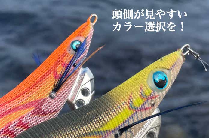 シャローエギングの画像