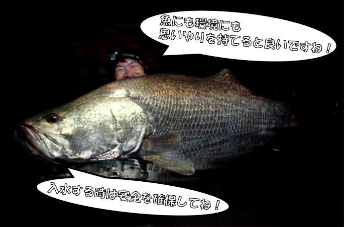 アカメ 釣り
