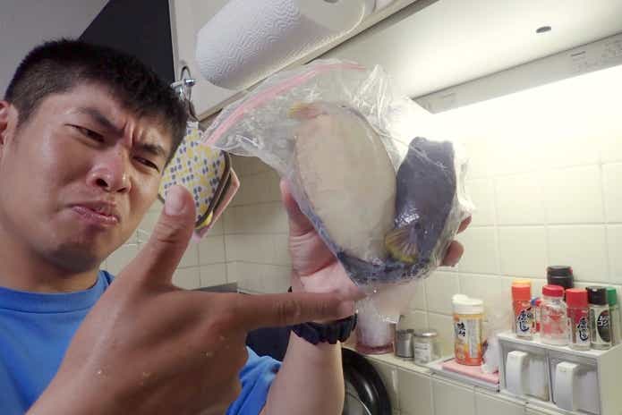 ハコフグ 粘液 臭い
