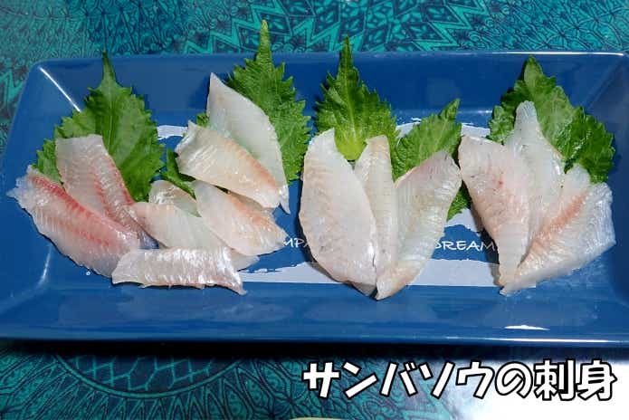 サンバソウ 刺身