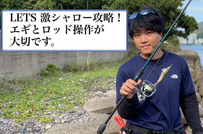 シャローエギングの画像