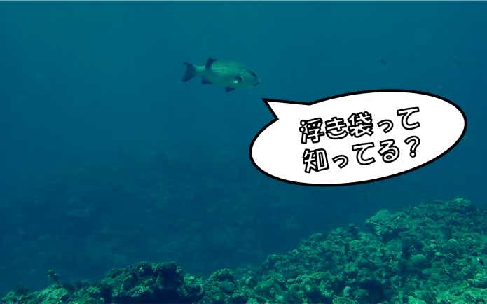 魚　浮き袋