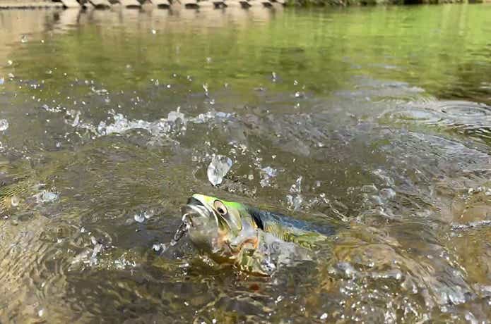着水姿勢
