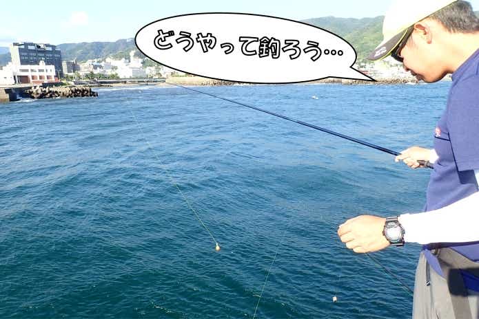 ハコフグ どうやって釣る