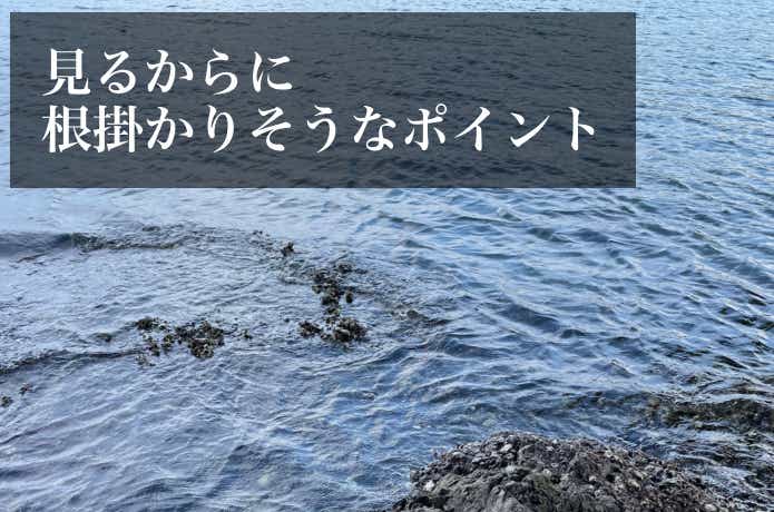 シャローエギングの画像