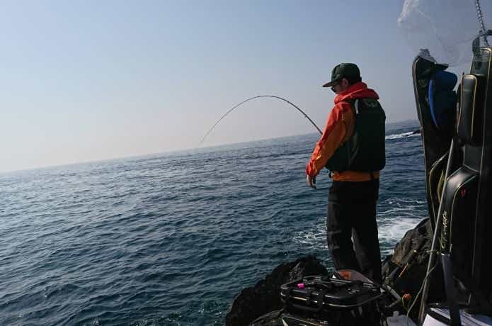 専用】ダイワDaiwa 電動リール SEABORG800MJ（専用】ダイワDaiwa