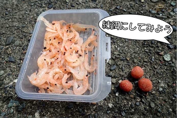 ハコフグ釣り エサ