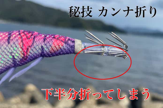 シャローエギングの画像