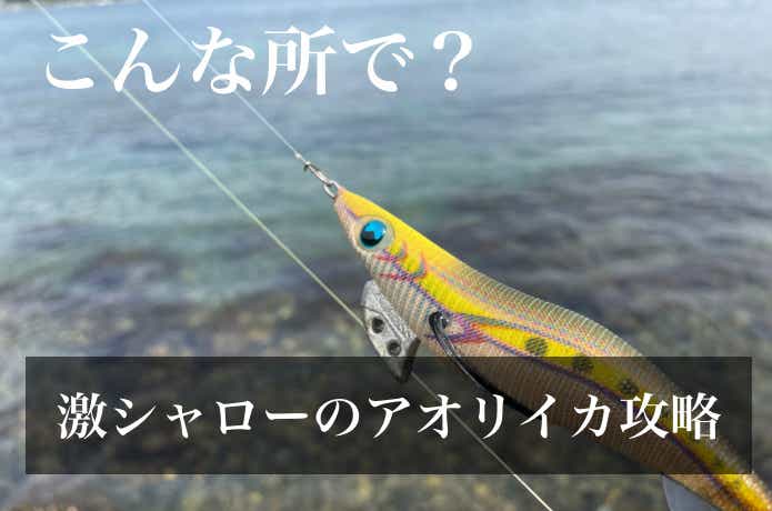 シャローエギングの画像