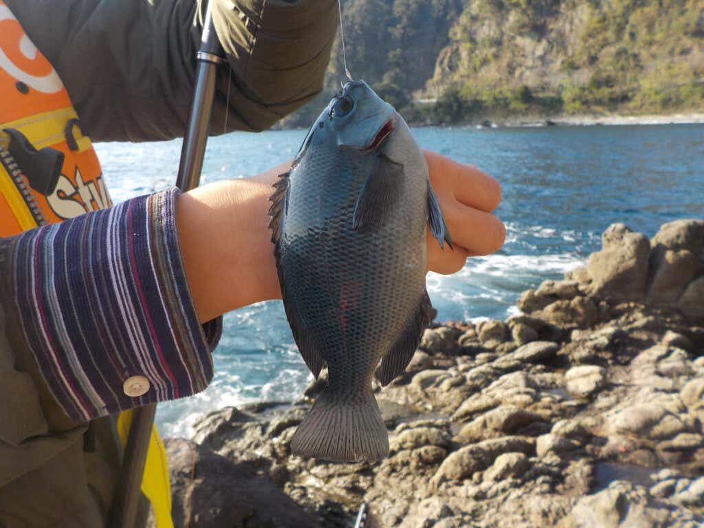 ウキフカセ釣り