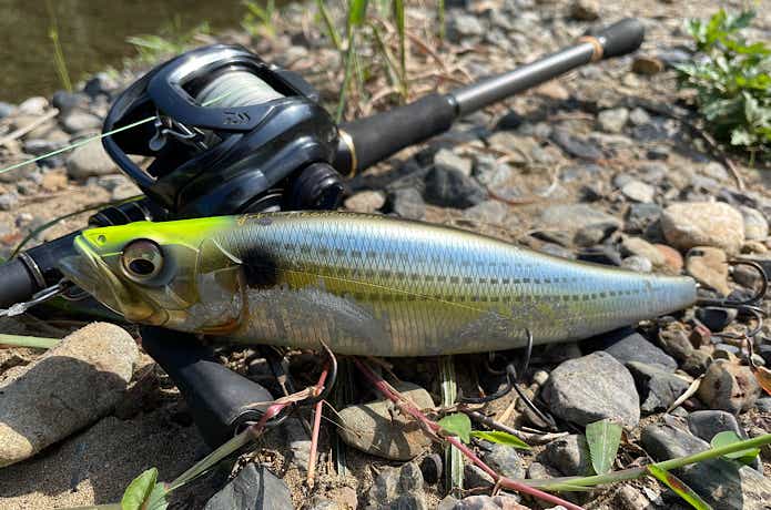 MEGADOG | Megabass-メガバス