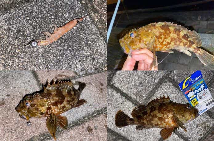 虫ヘッドの画像