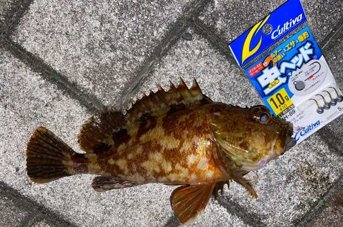虫ヘッドの画像