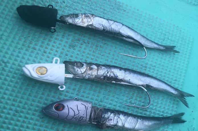 タチウオテンヤの画像