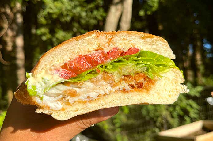 シーバスバーガー