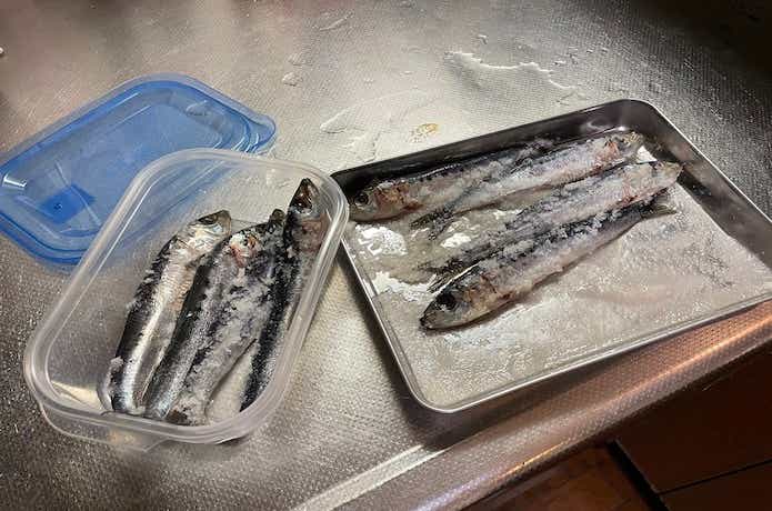 タチウオテンヤのエサの画像
