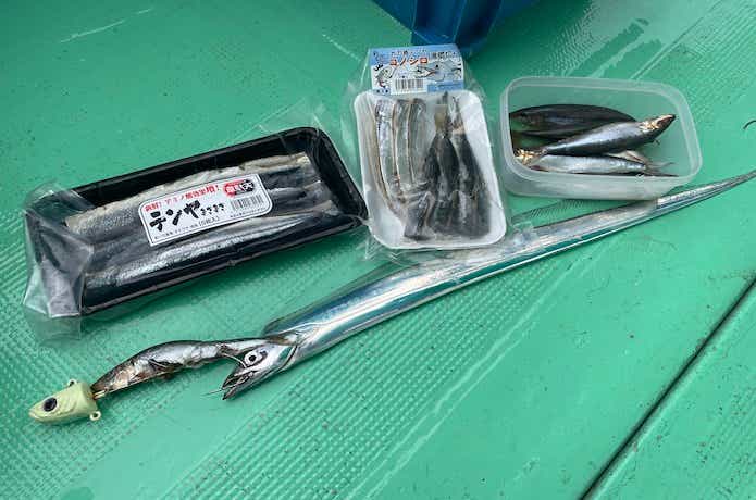 タチウオテンヤのエサの画像