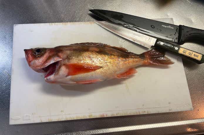 沖メバルの料理の画像
