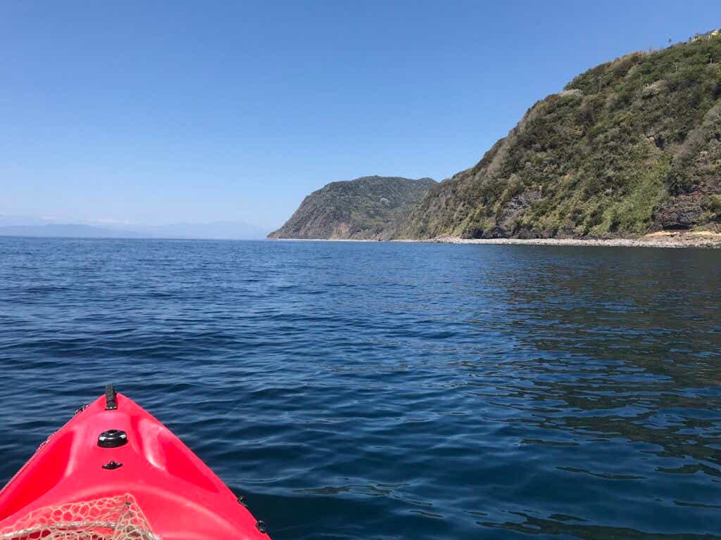 海