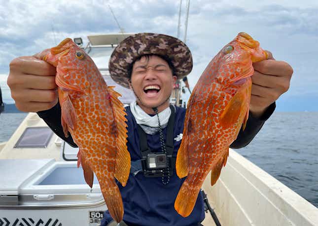 オフショアのキジハタ釣り
