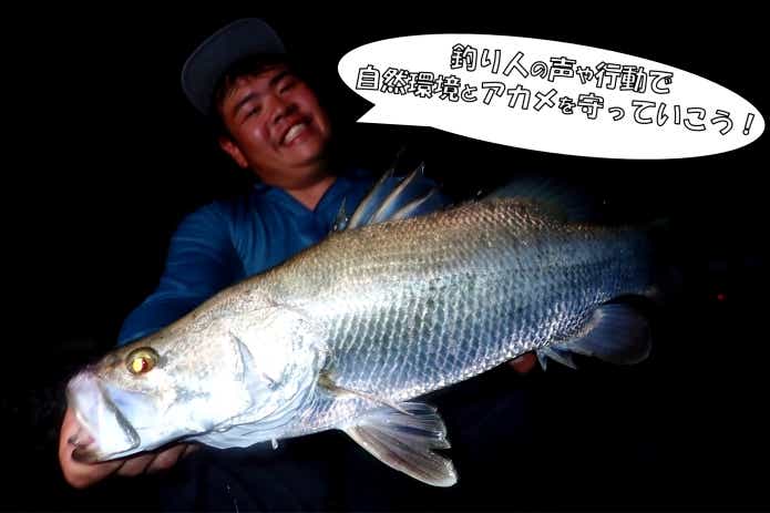 アカメ リリース