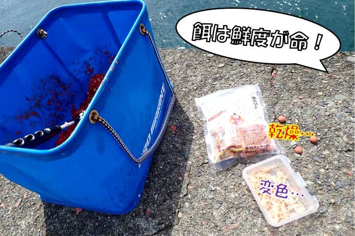 オキアミ　常温保管　変色