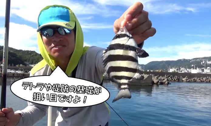 サンバソウ 堤防釣り