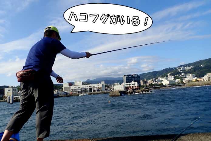 ハコフグ 釣り