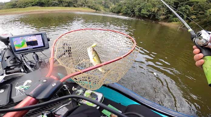 ブリッツDRでの釣果