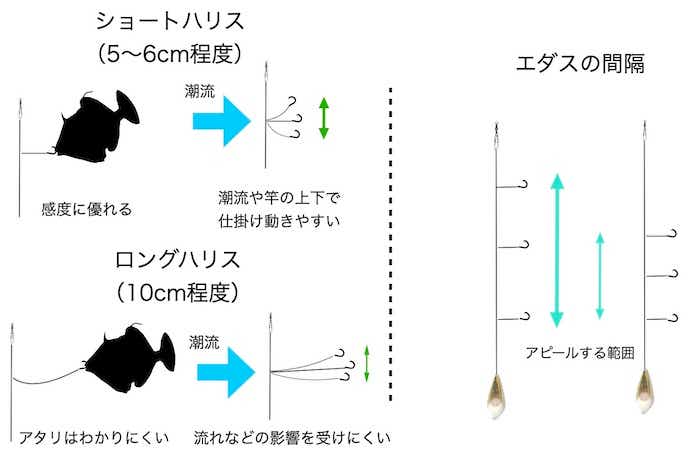 カワハギ釣りの仕掛けを元釣具屋が徹底解説。細部にこだわれば