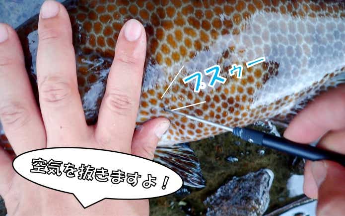 リリースの仕方や魚の扱い方、間違えていませんか？初心者の方はぜひ読んでみてください | 【TSURI HACK】日本最大級の釣りマガジン - 釣りハック