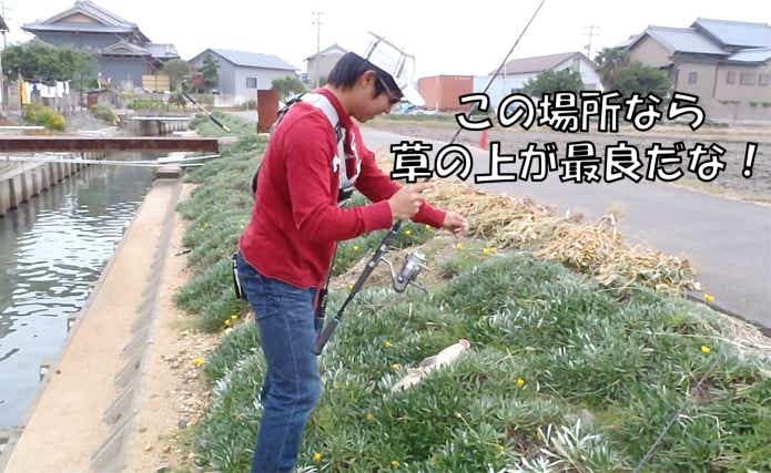魚 正しい リリース 草の上