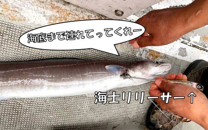 海士リリーサー
