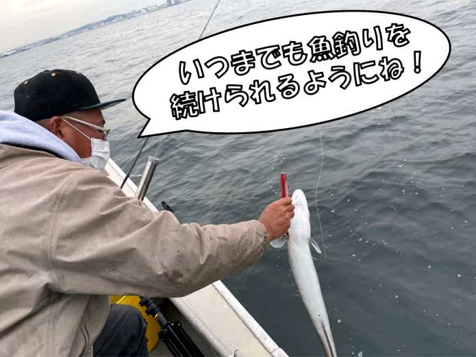 魚 リリース方法