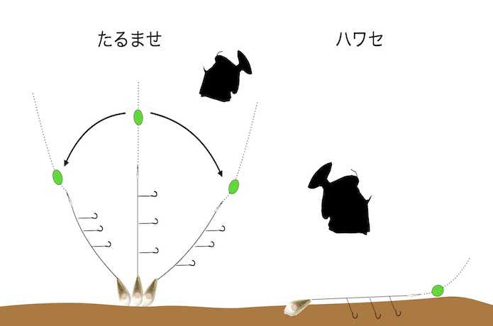 カワハギ釣りの仕掛けを元釣具屋が徹底解説。細部にこだわれば