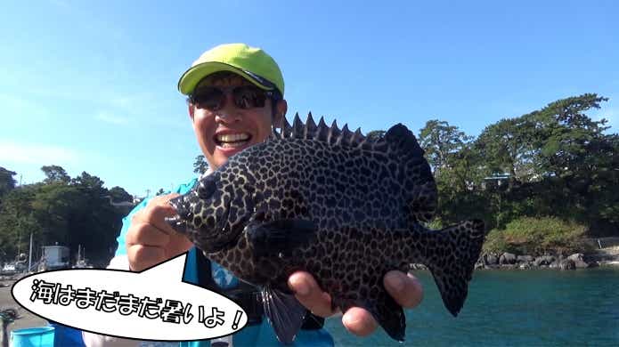 秋　釣り　水温